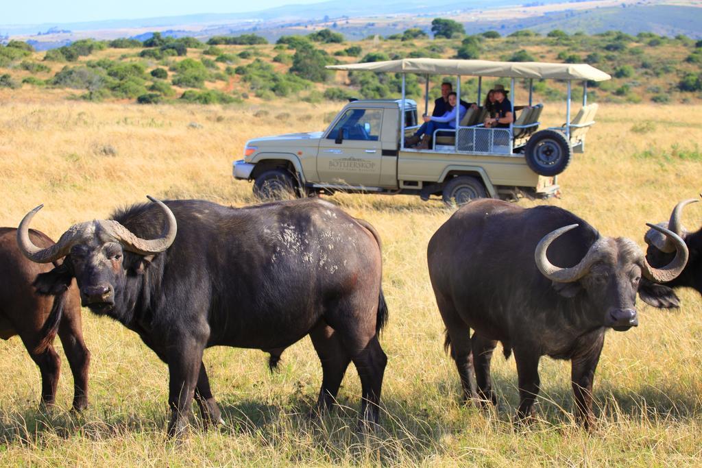 Botlierskop Bush Villas Sandhoogte Buitenkant foto