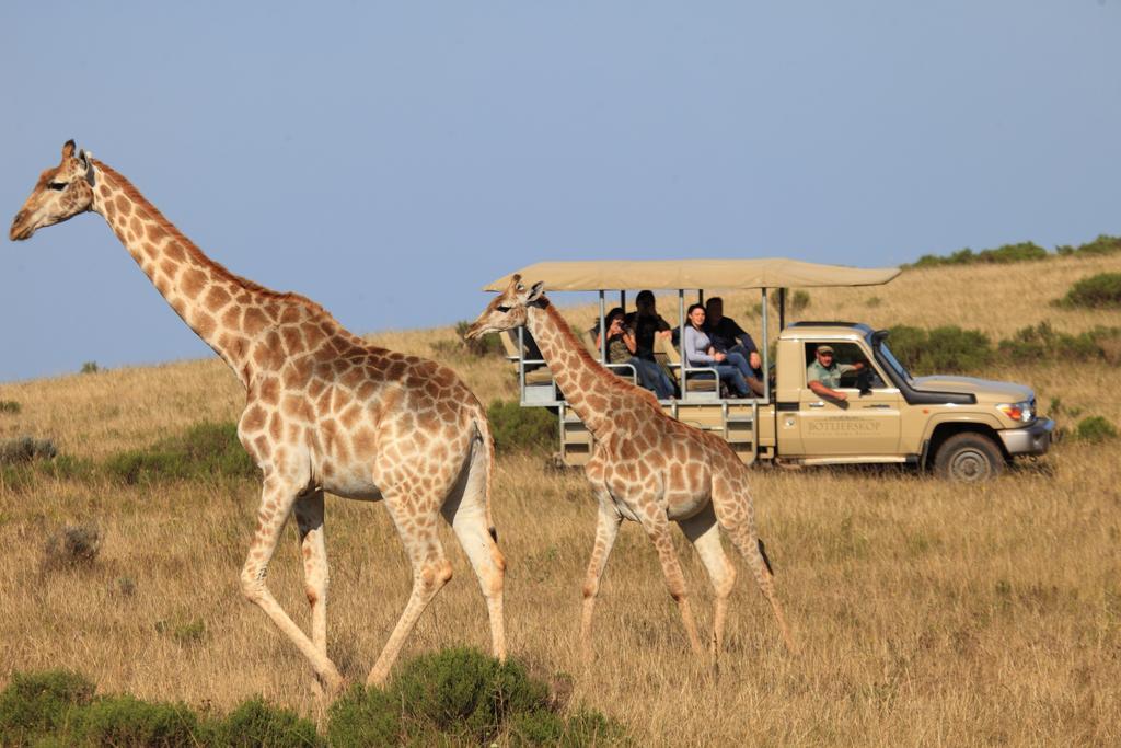 Botlierskop Bush Villas Sandhoogte Buitenkant foto