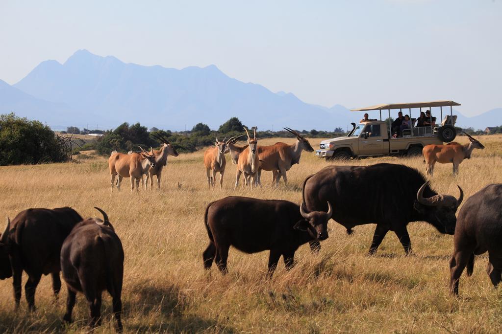 Botlierskop Bush Villas Sandhoogte Buitenkant foto