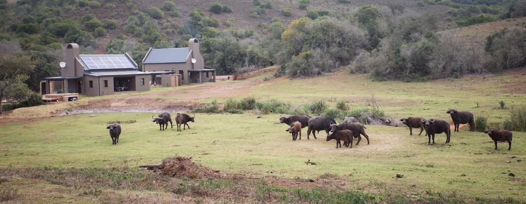 Botlierskop Bush Villas Sandhoogte Buitenkant foto