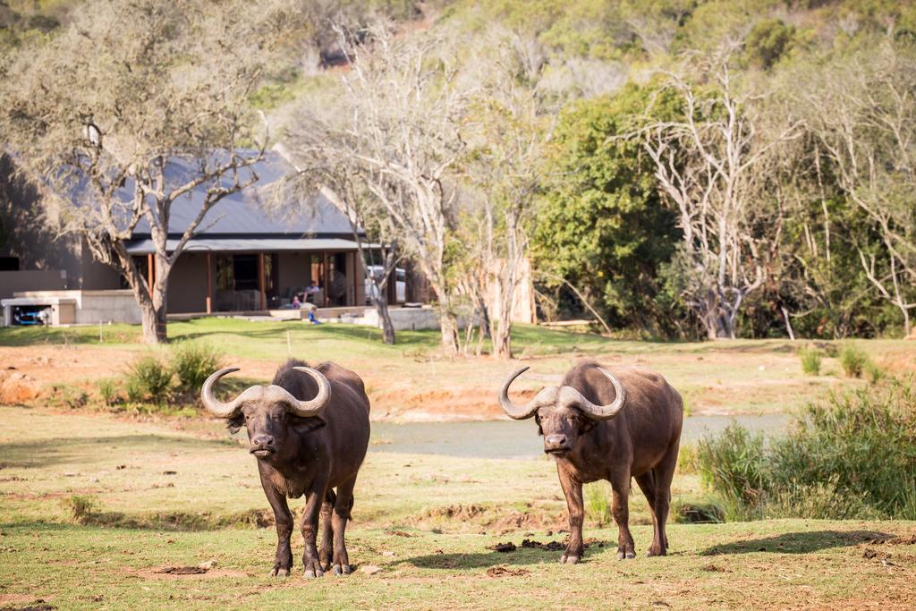 Botlierskop Bush Villas Sandhoogte Buitenkant foto