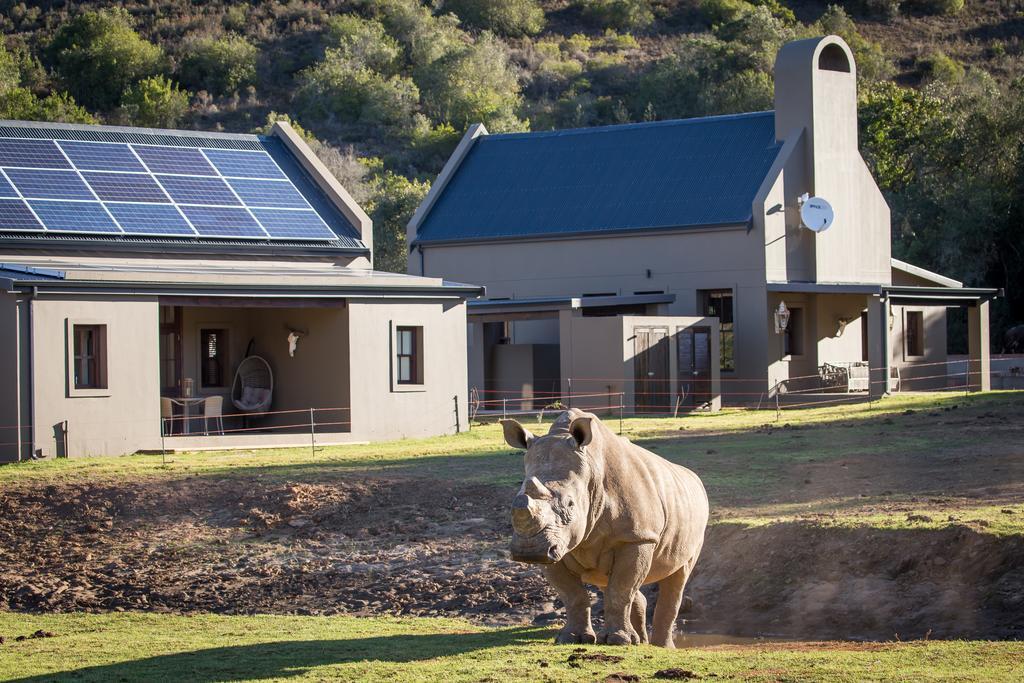 Botlierskop Bush Villas Sandhoogte Buitenkant foto