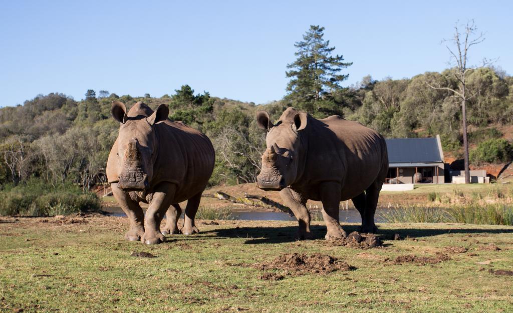 Botlierskop Bush Villas Sandhoogte Buitenkant foto