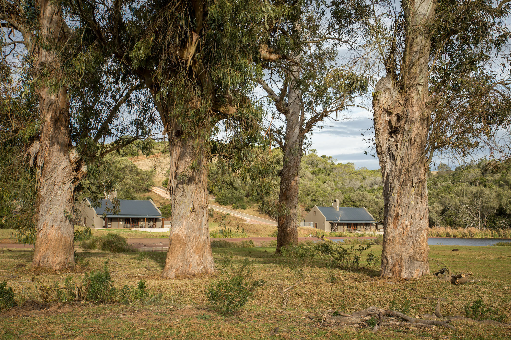 Botlierskop Bush Villas Sandhoogte Buitenkant foto