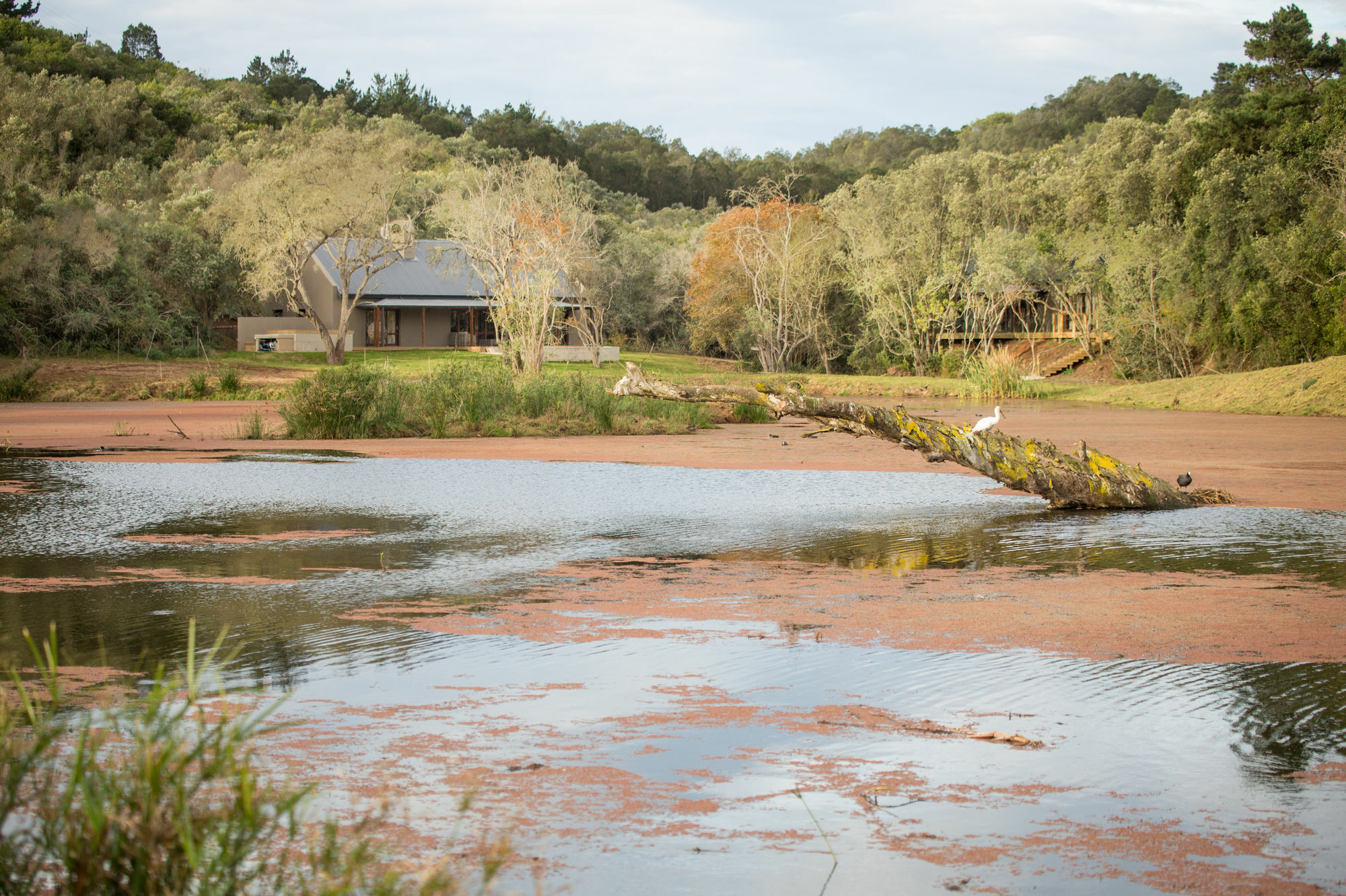 Botlierskop Bush Villas Sandhoogte Buitenkant foto