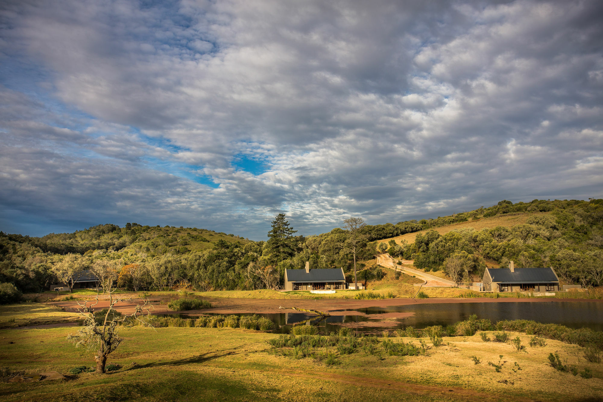 Botlierskop Bush Villas Sandhoogte Buitenkant foto